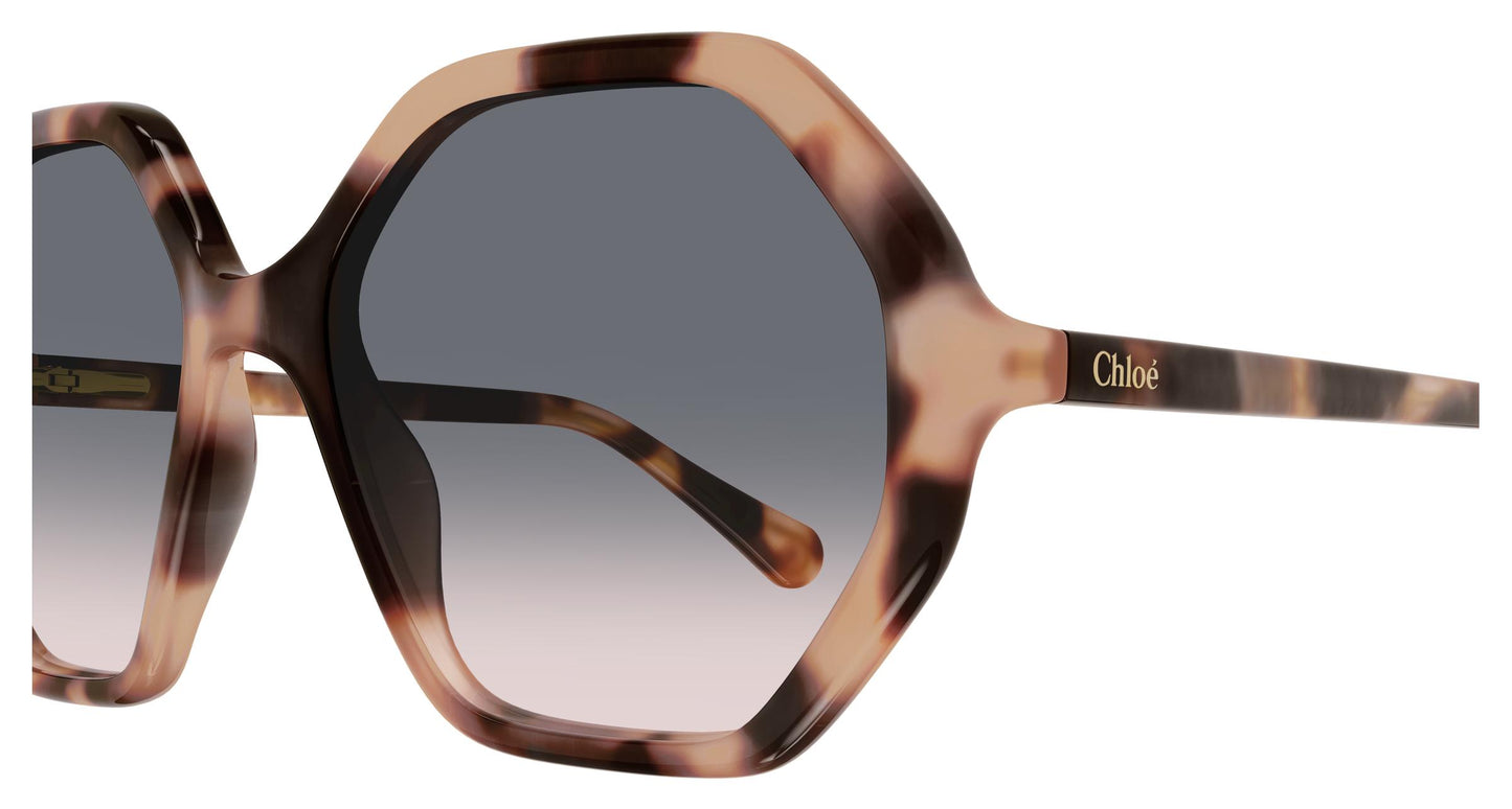 Chloé CC0004S 009 51