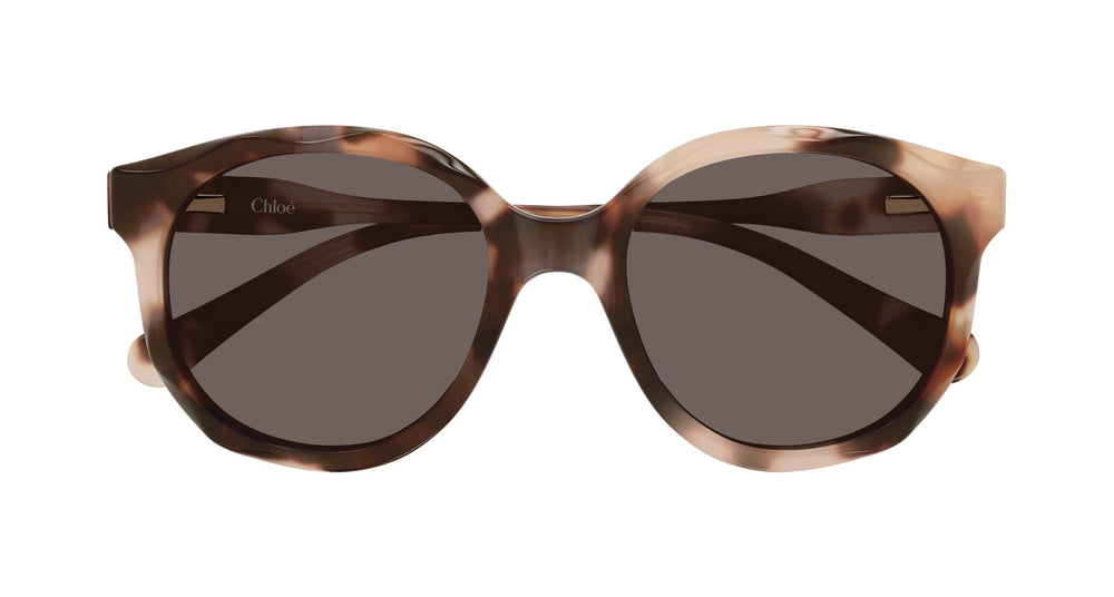 Chloé CC0019S 006 47