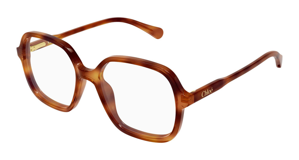 Chloé CC0027O 003 49