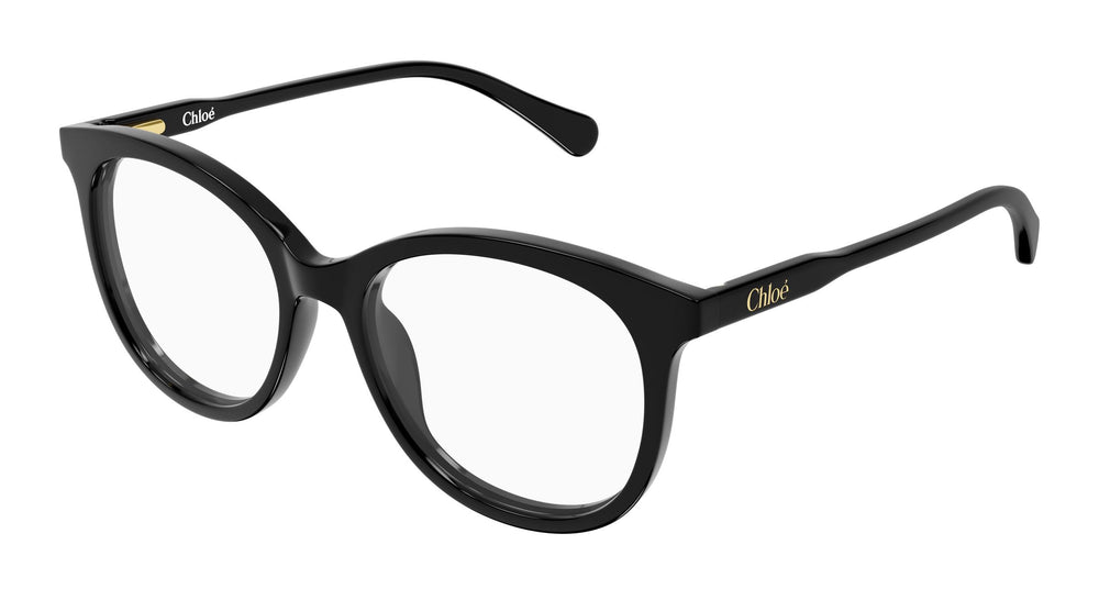 Chloé CC0028O 001 48