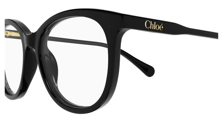 Chloé CC0028O 001 48