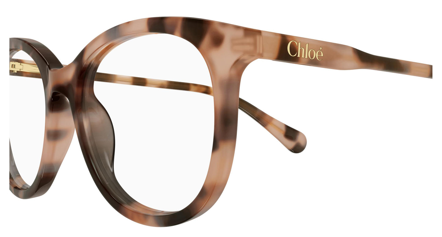 Chloé CC0028O 002 48