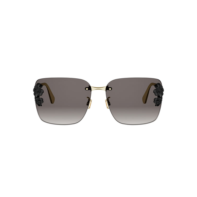 DIOR CLOVER CD40249U 10B 62