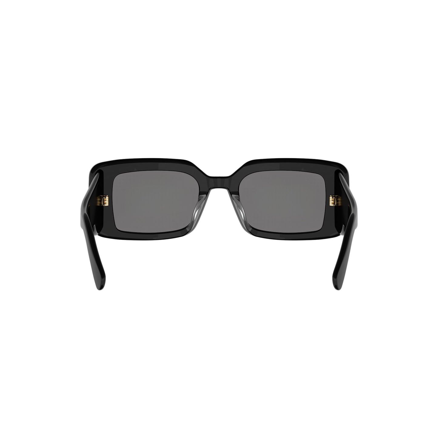 Dior DIORLUCKYCHARMS CD40255I 01A 51