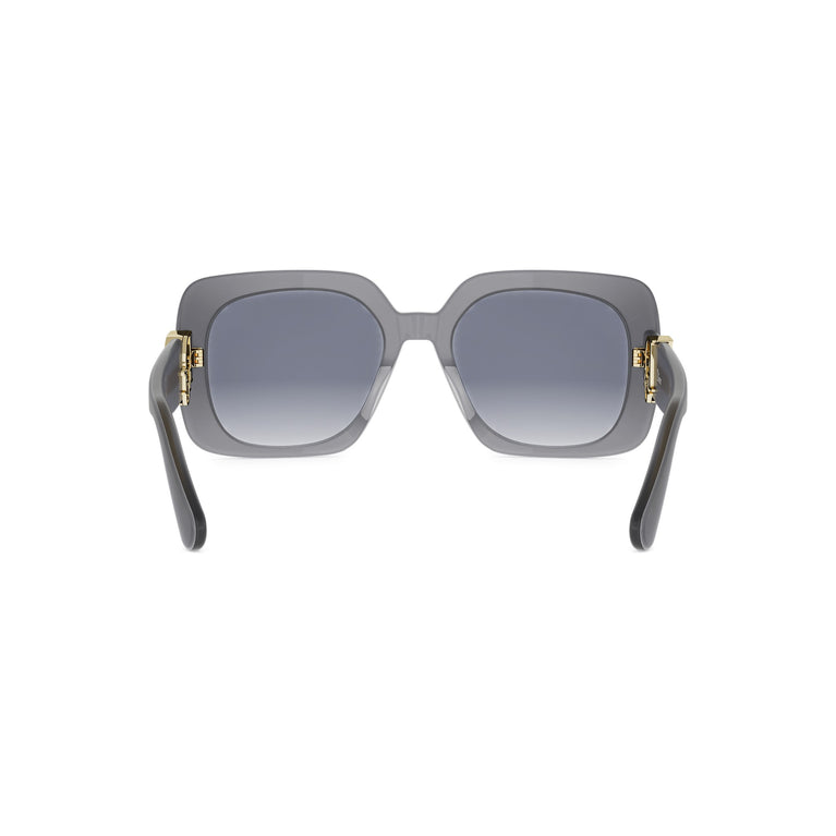 DIOR OBLIQUE CD40273I 20W 54