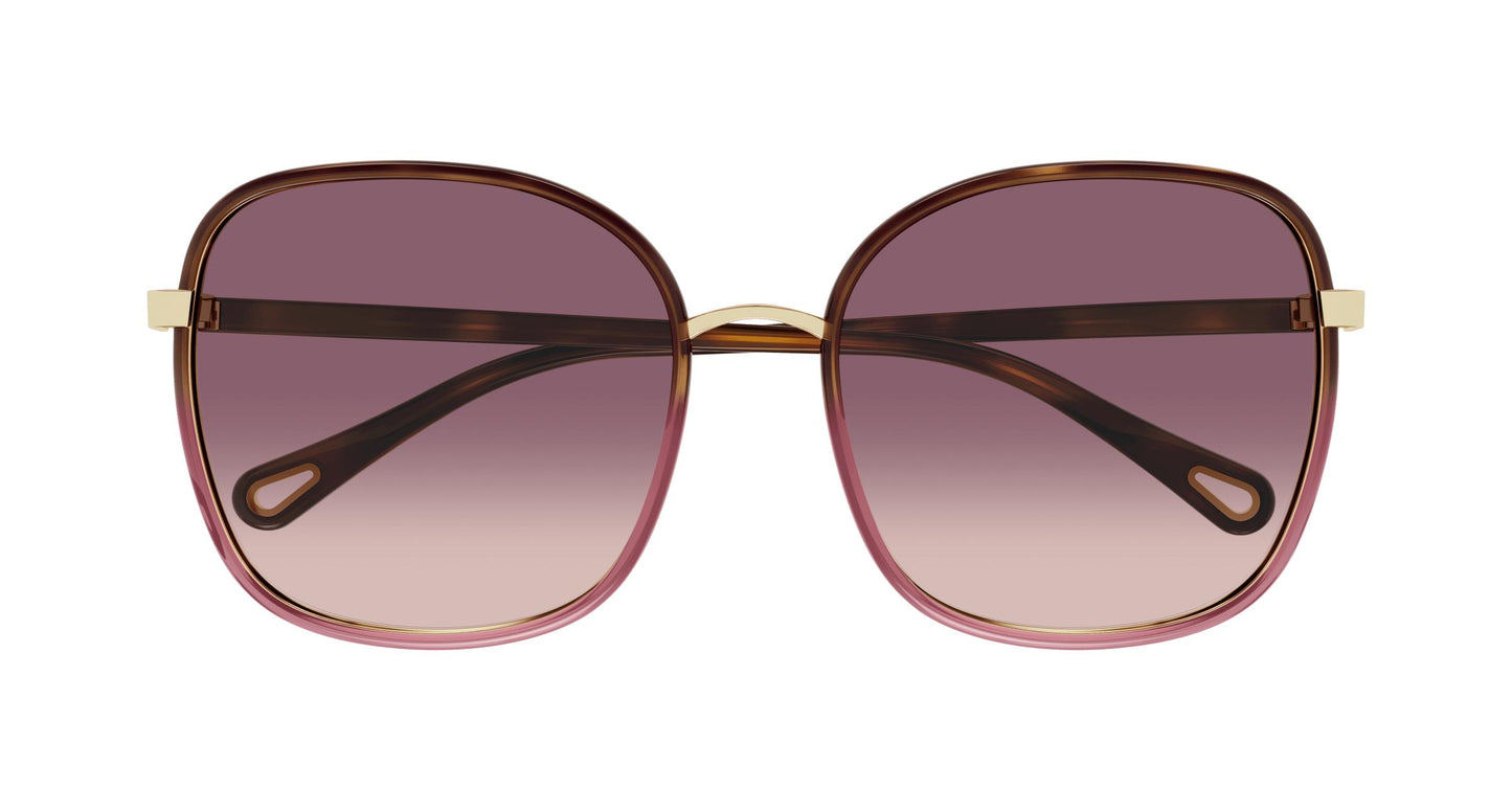 Chloé CH0031S 016 56
