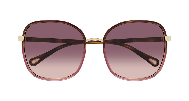 Chloé CH0031S 016 56