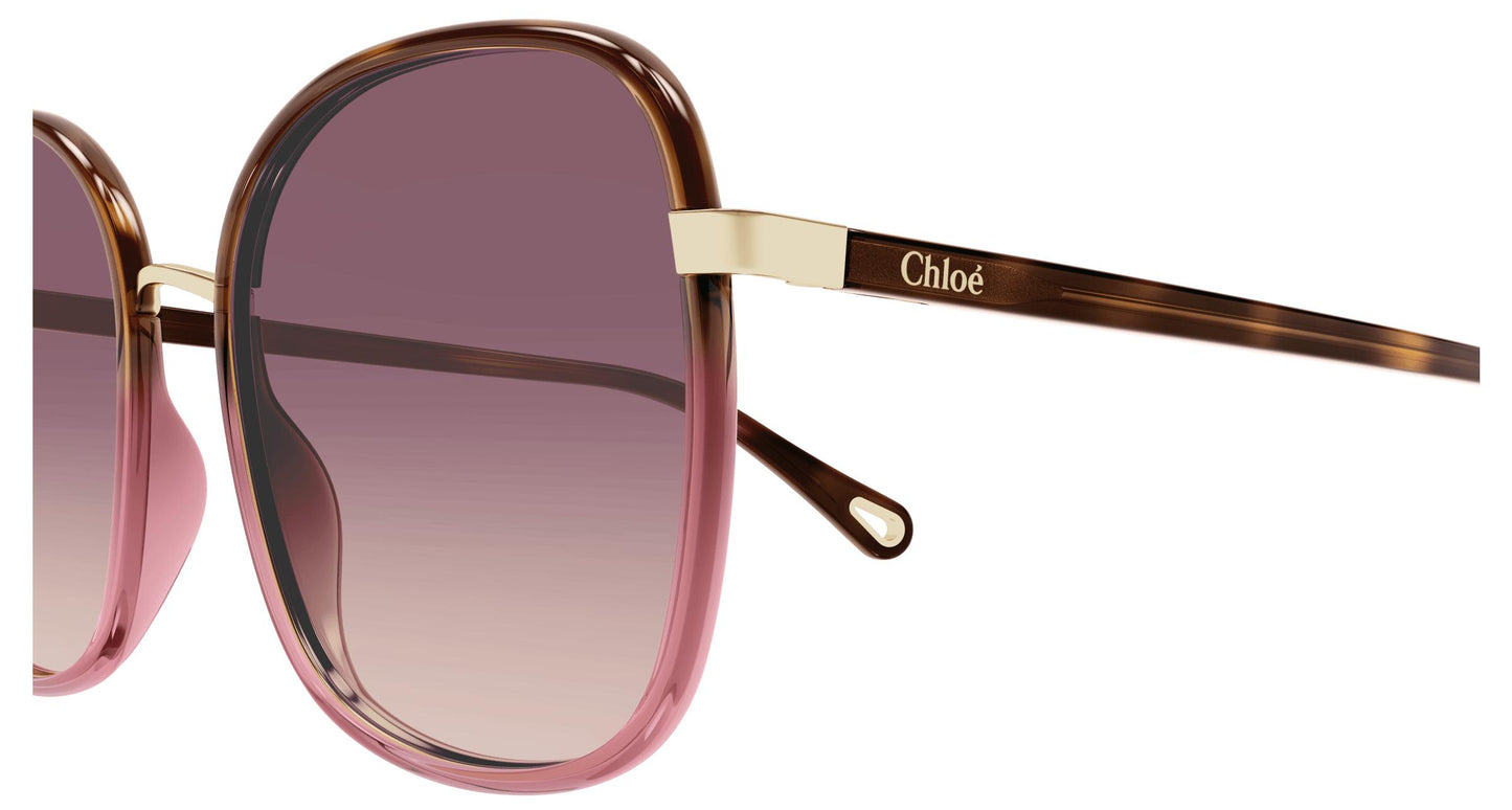 Chloé CH0031S 016 56