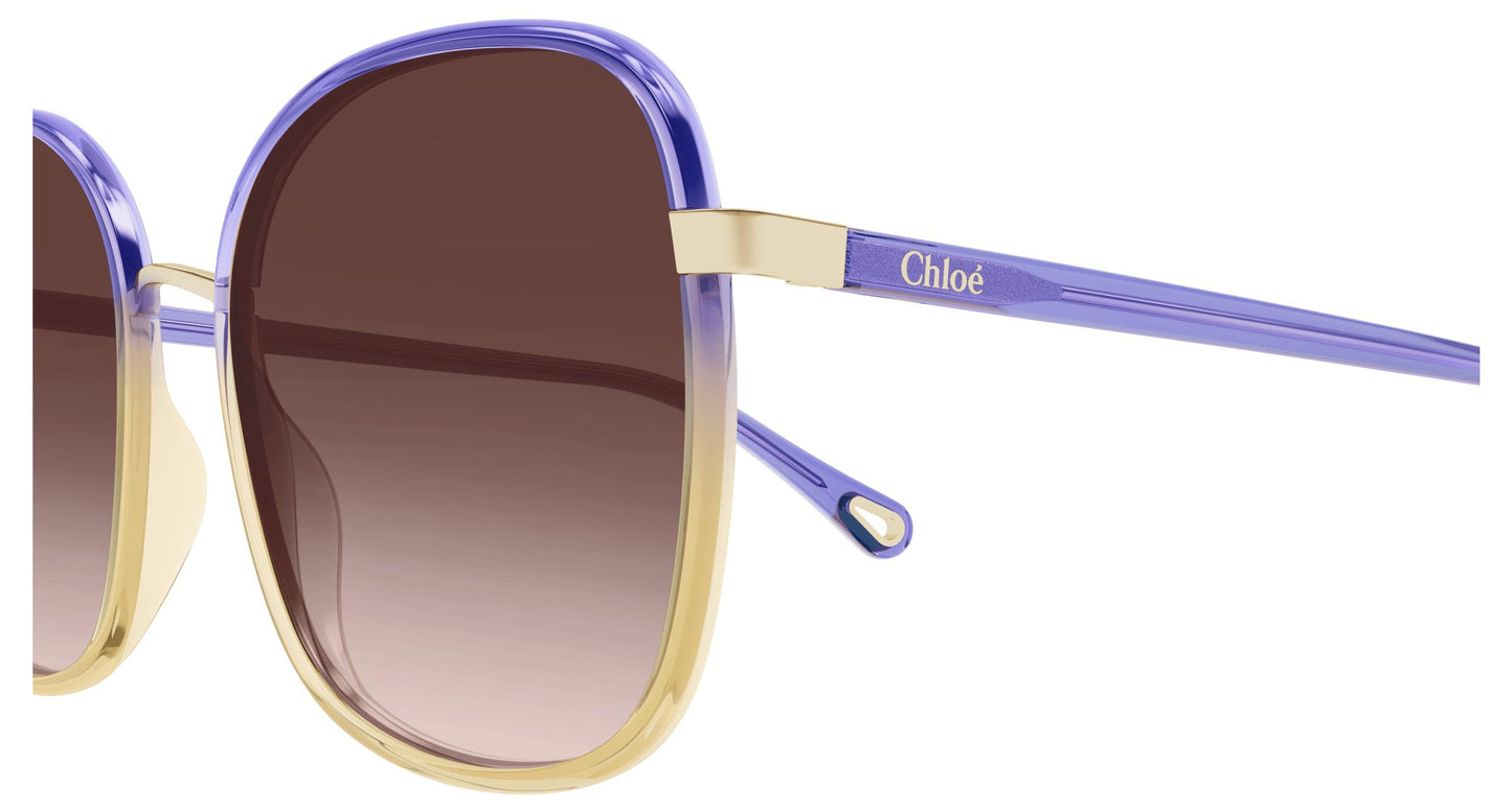 Chloé CH0031S 017 59