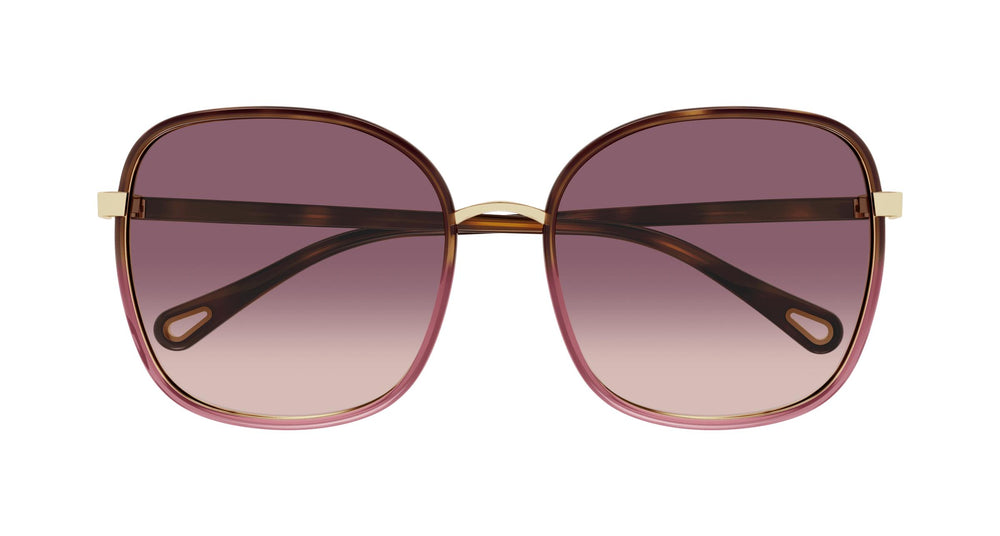 Chloé CH0031S 018 59