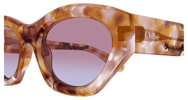 Chloé CH0220S 013 53