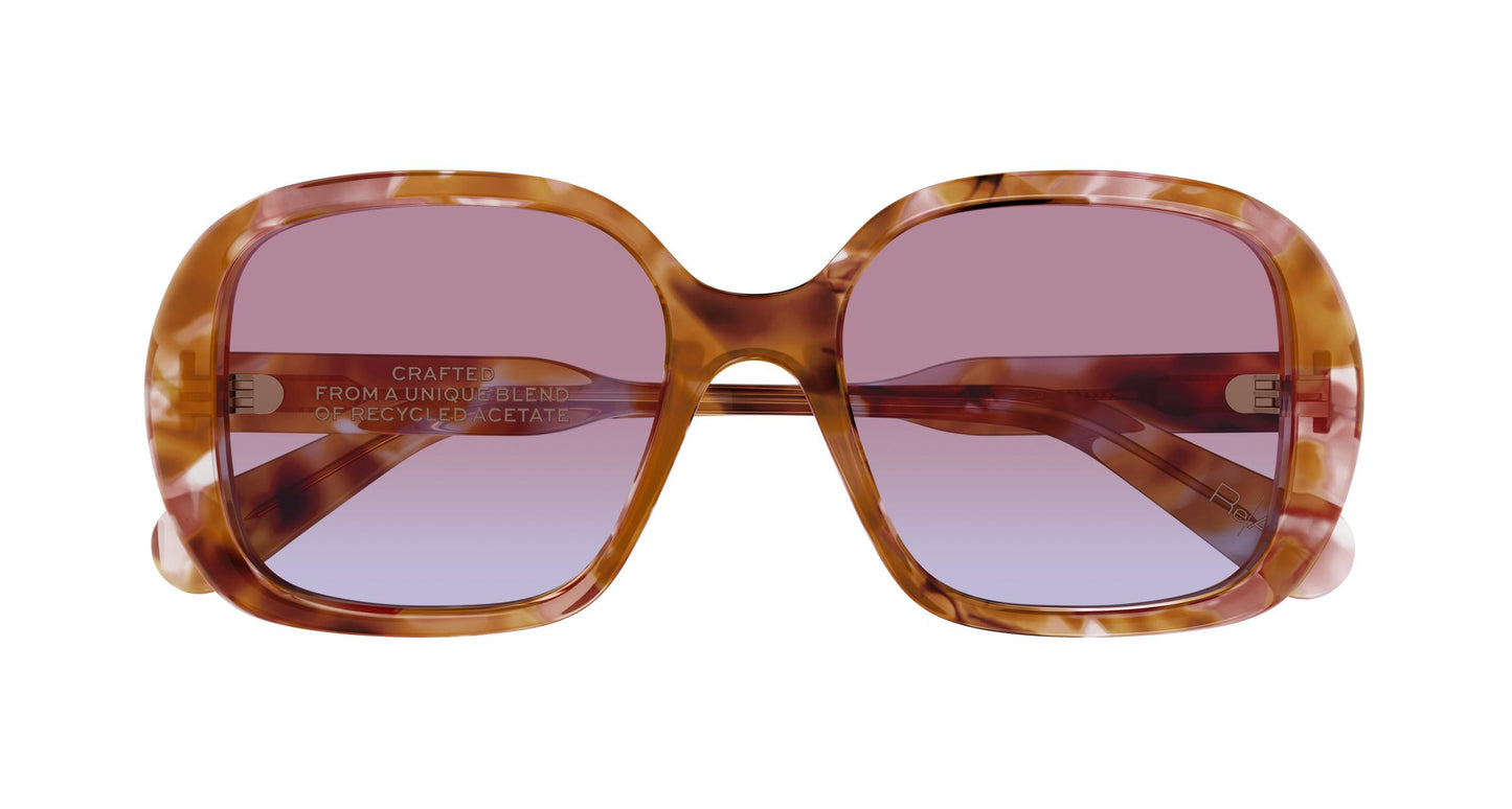 Chloé CH0222S 006 55