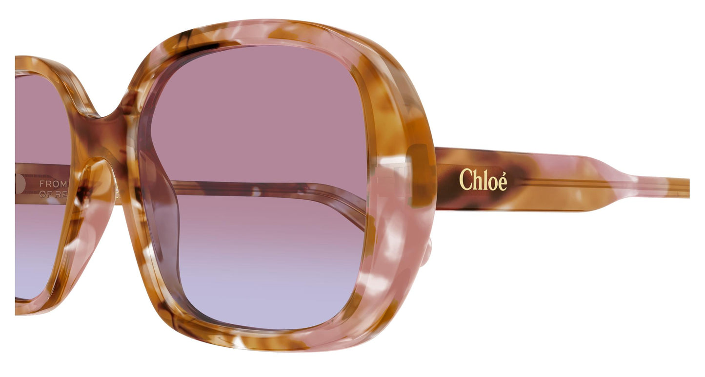 Chloé CH0222S 006 55