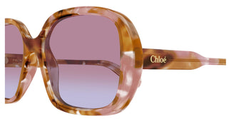 Chloé CH0222S 006 55