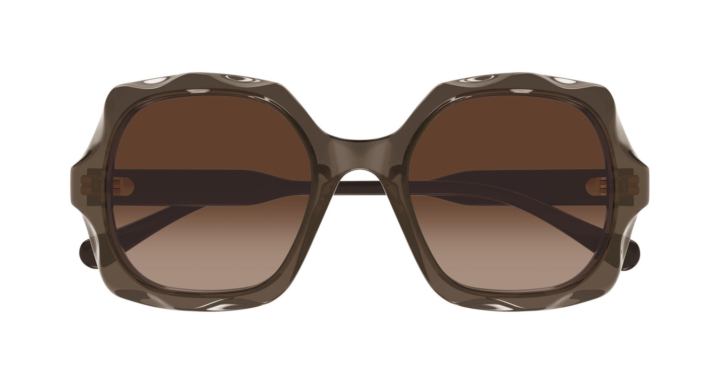 Chloé CH0226S 007 53