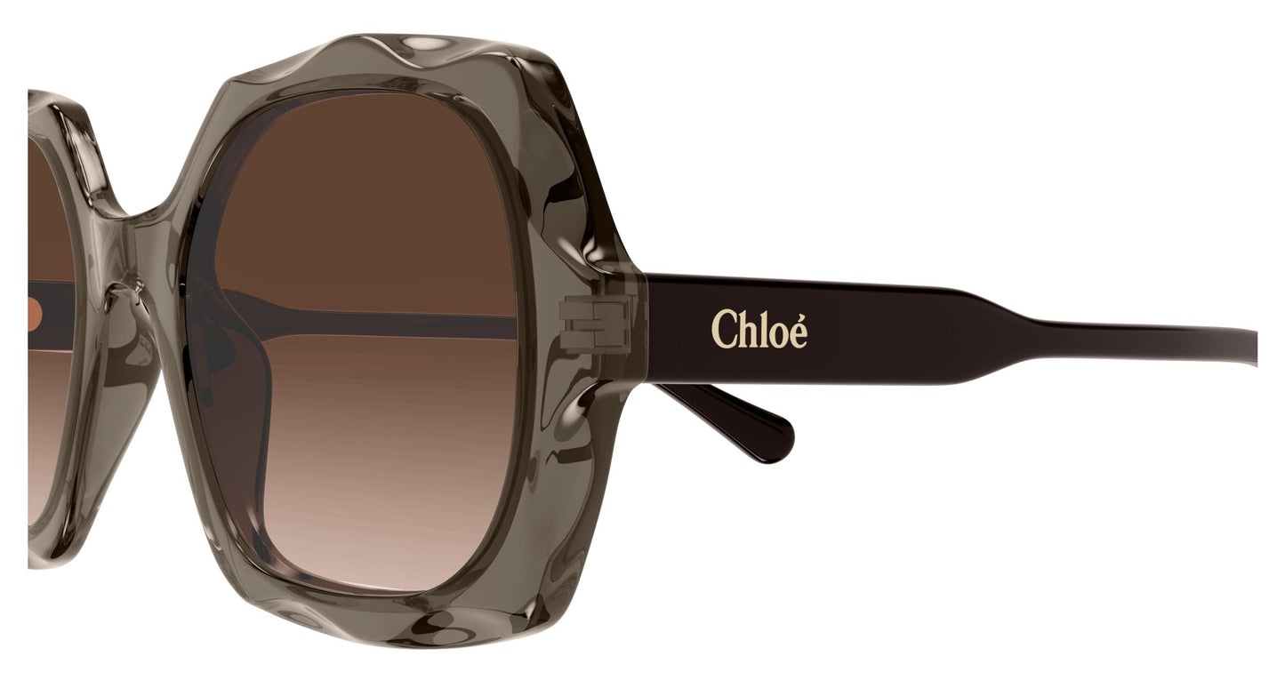Chloé CH0226S 007 53
