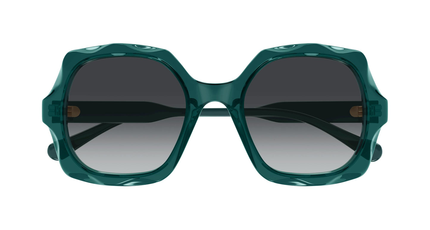Chloé CH0226S 008 53