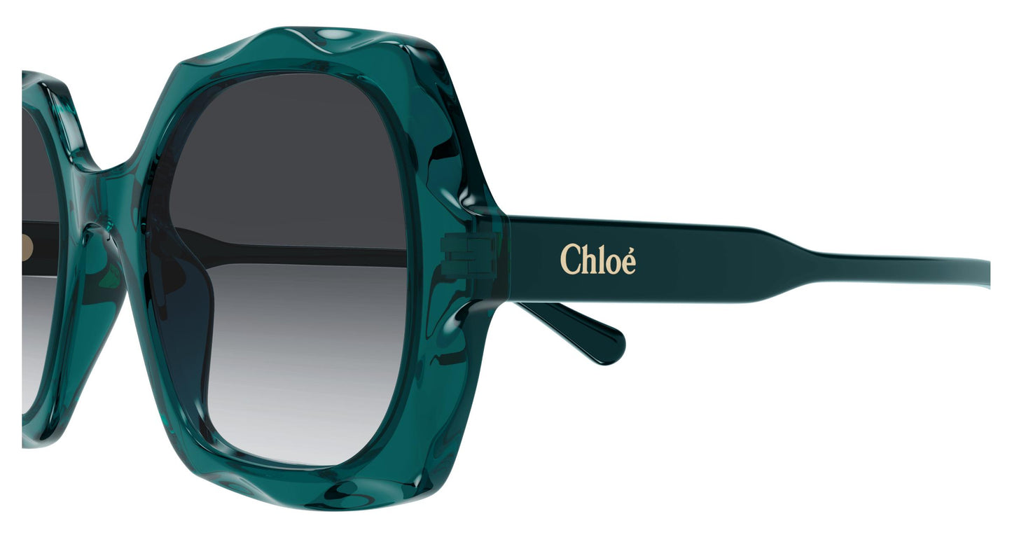 Chloé CH0226S 008 53
