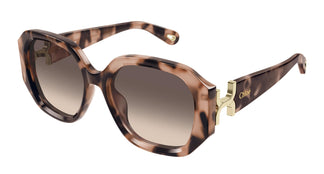 Chloé CH0236S 005 56