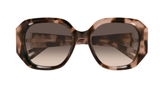 Chloé CH0236S 005 56