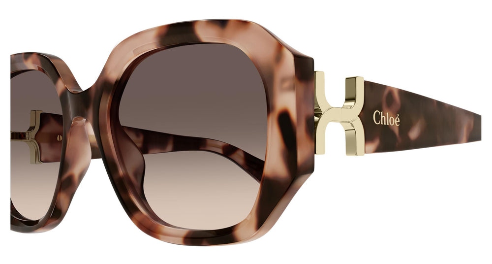 Chloé CH0236S 005 56