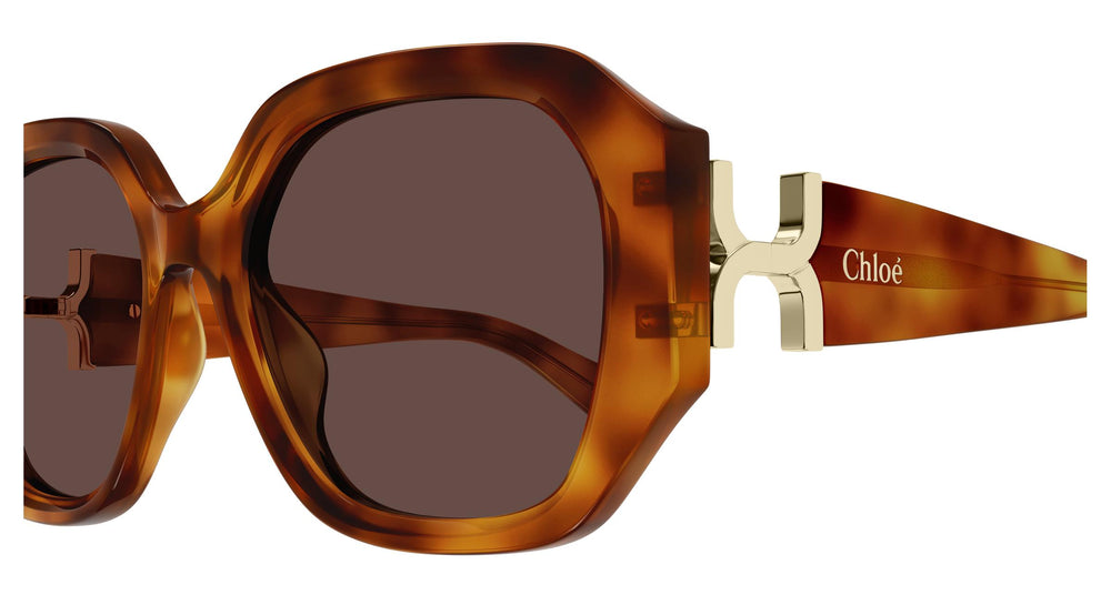 Chloé CH0236S 006 56