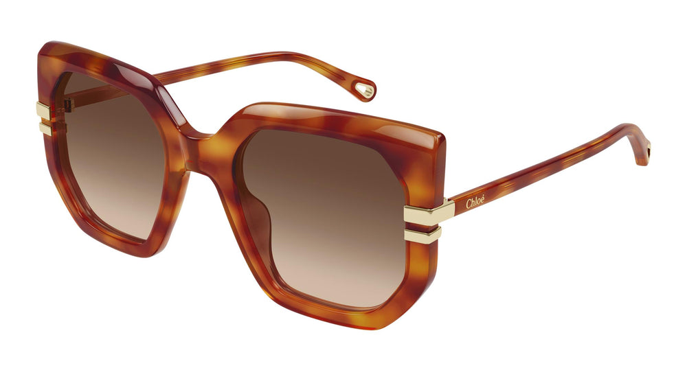 Chloé CH0240S 007 53
