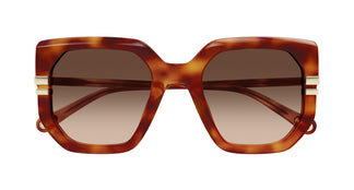 Chloé CH0240S 007 53