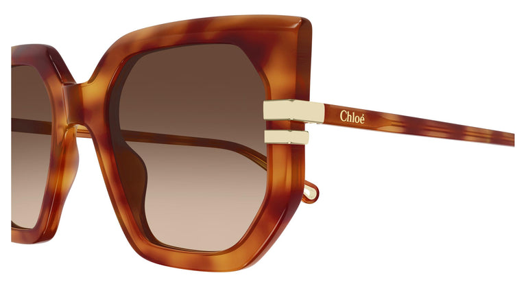 Chloé CH0240S 007 53