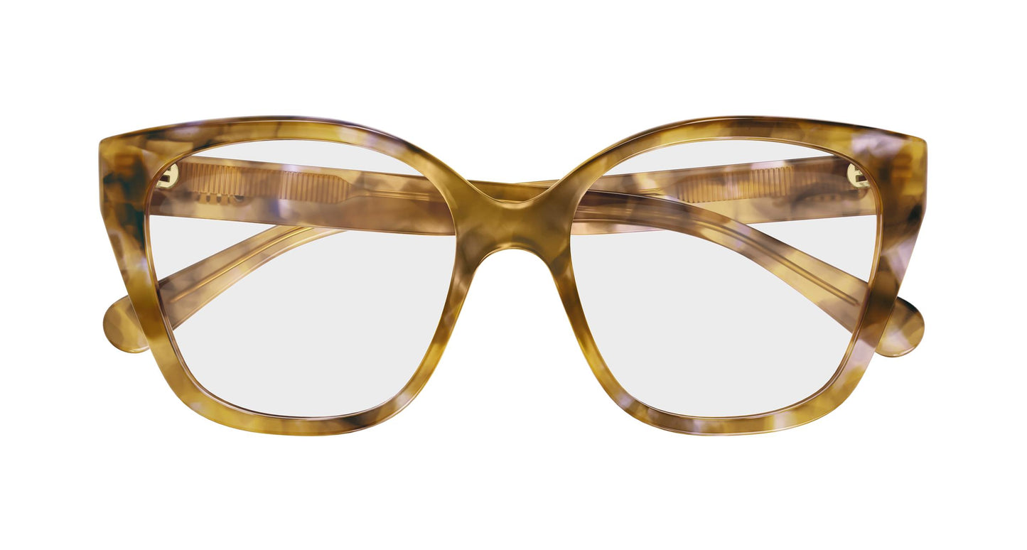 Chloé CH0241O 006 53