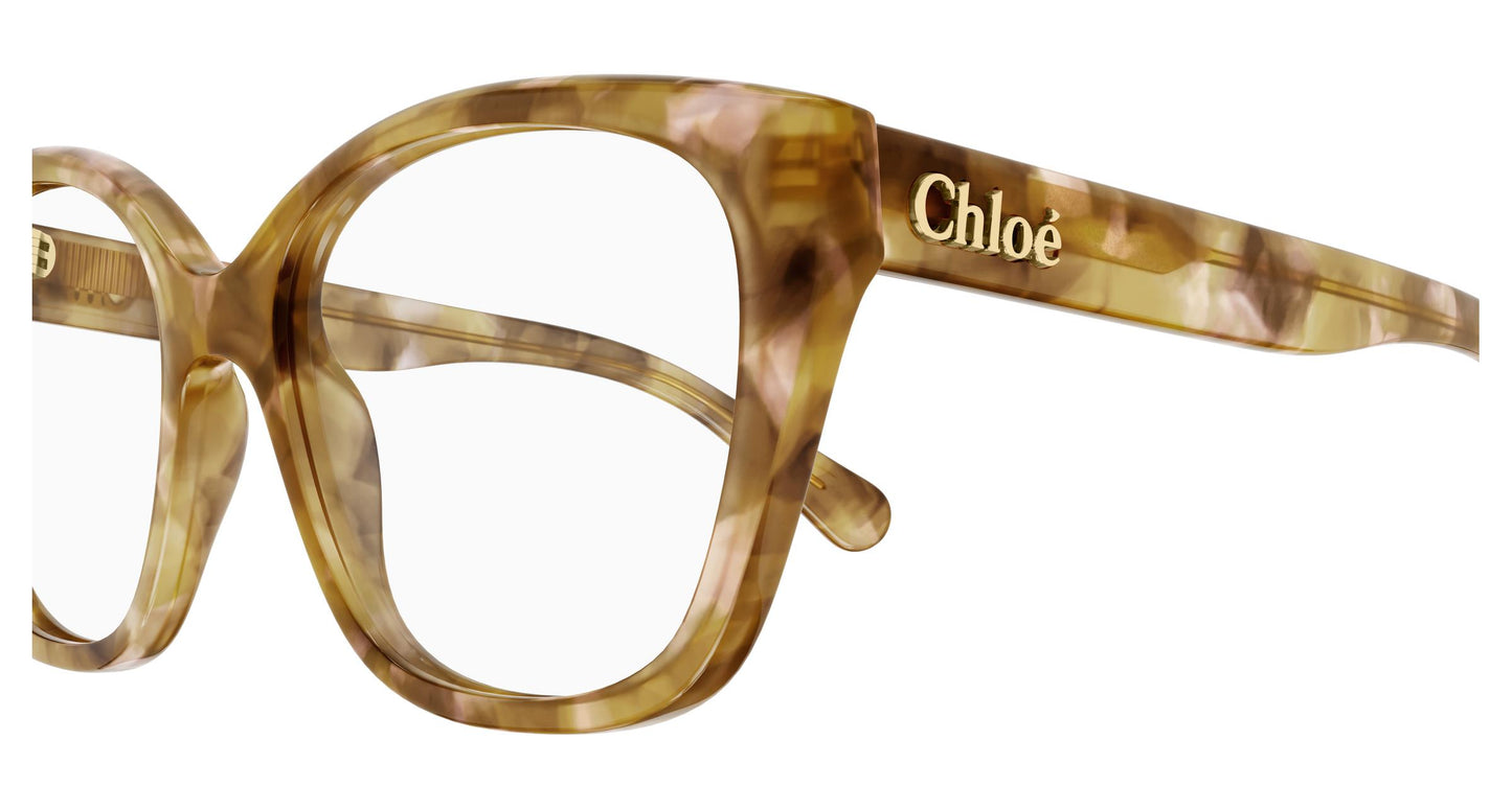 Chloé CH0241O 006 53