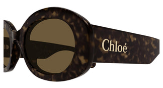 Chloé CH0258S 002 53