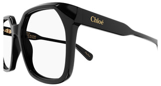 Chloé CH0263O 008 53