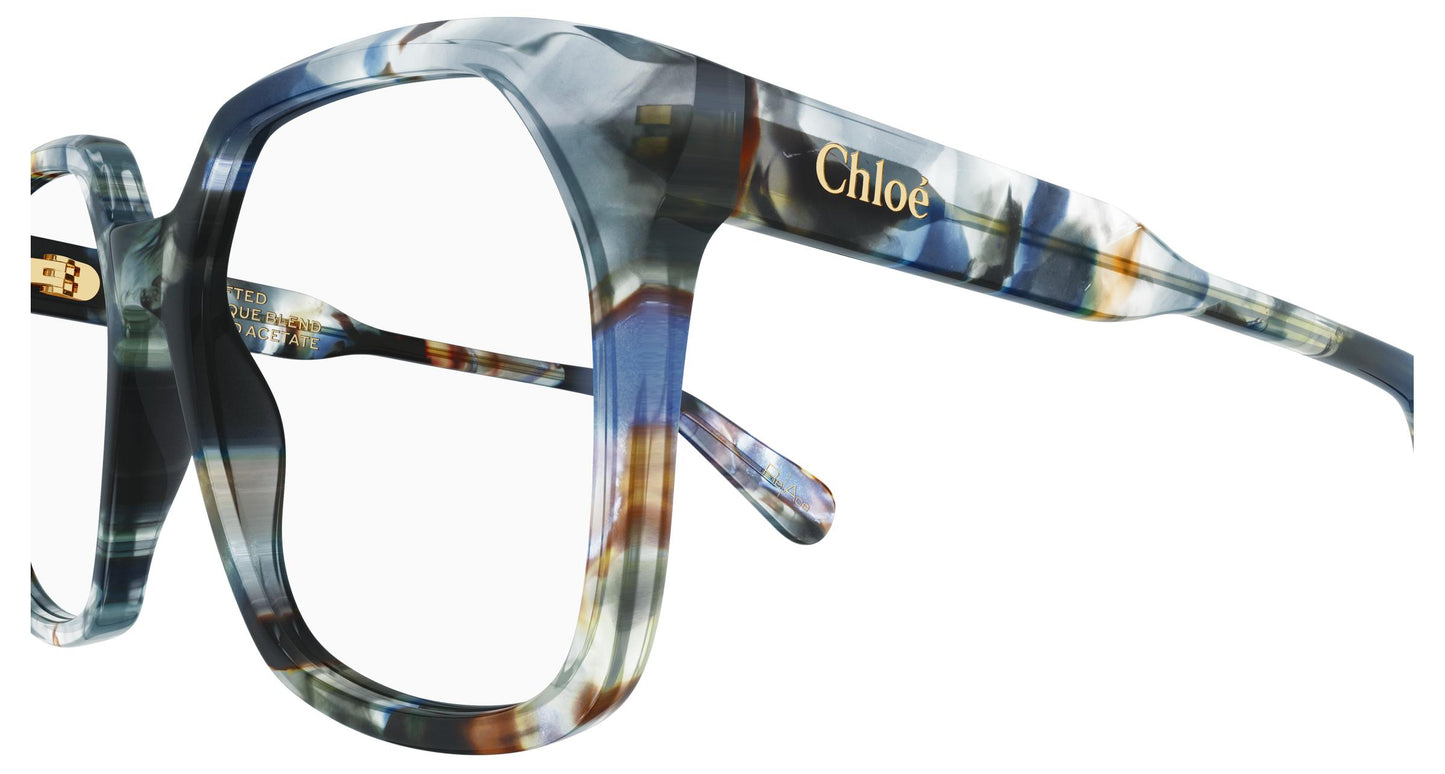 Chloé CH0263O 011 53