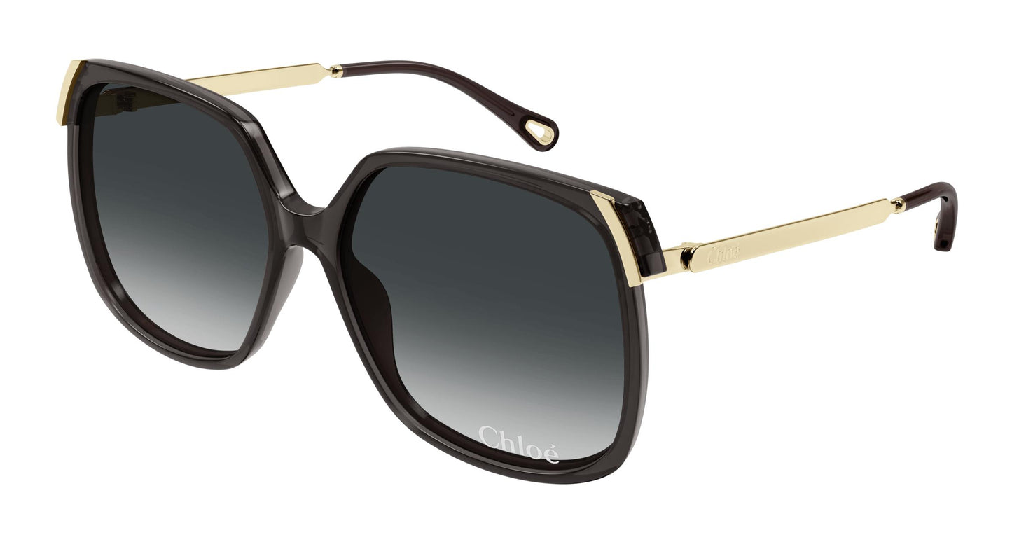 Chloé CH0286S 001 60