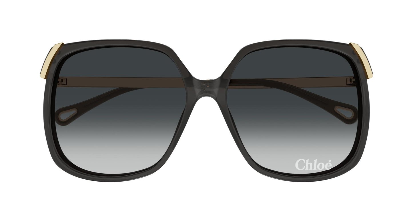 Chloé CH0286S 001 60