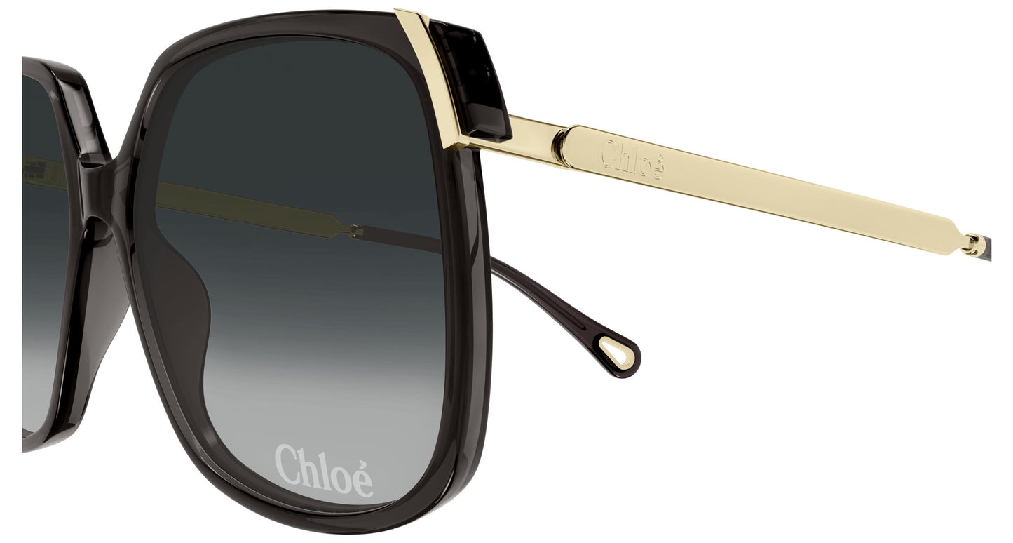 Chloé CH0286S 001 60