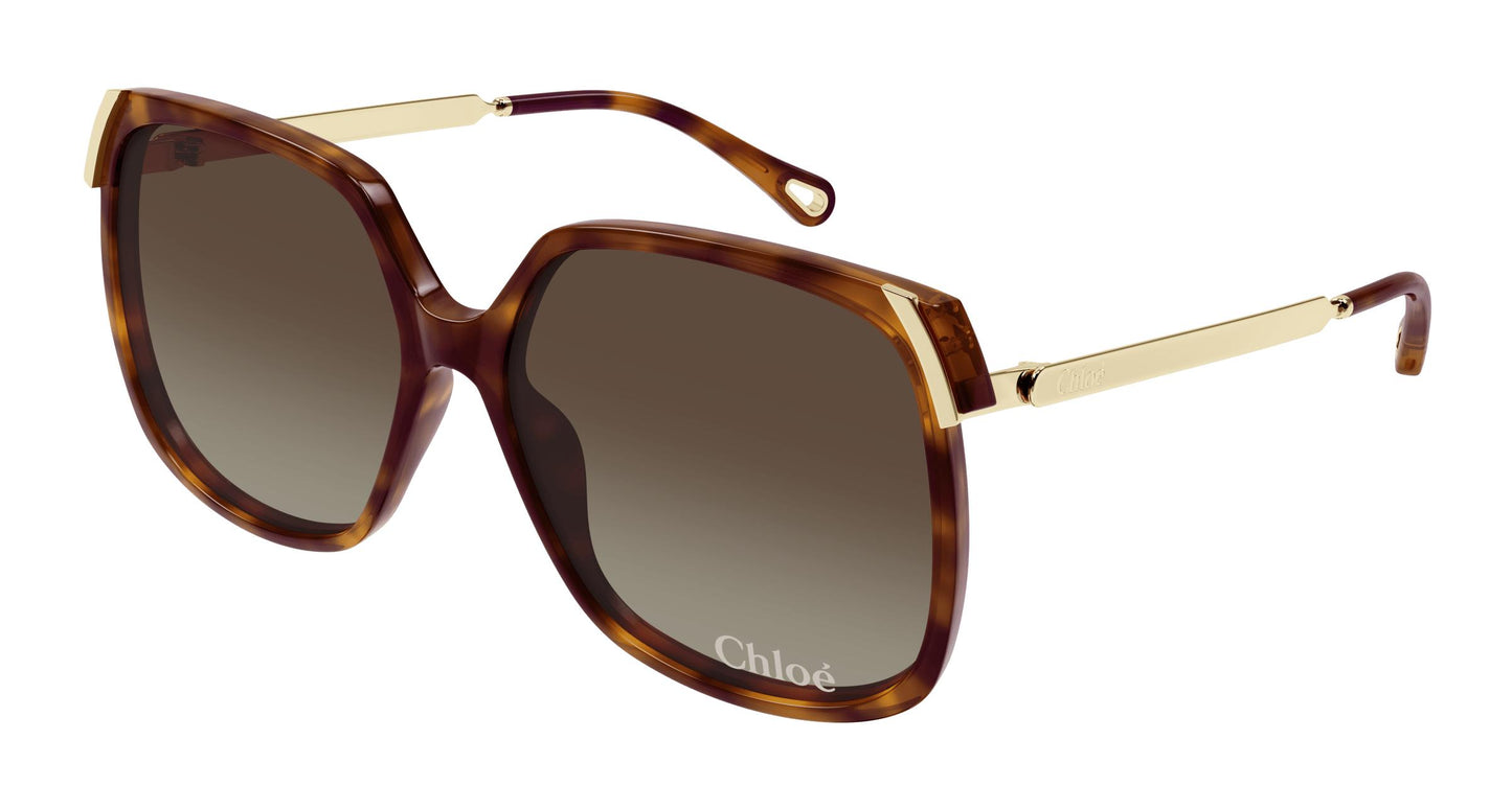 Chloé CH0286S 002 60