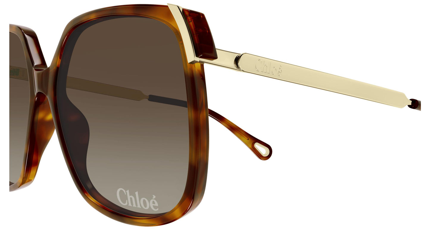 Chloé CH0286S 002 60