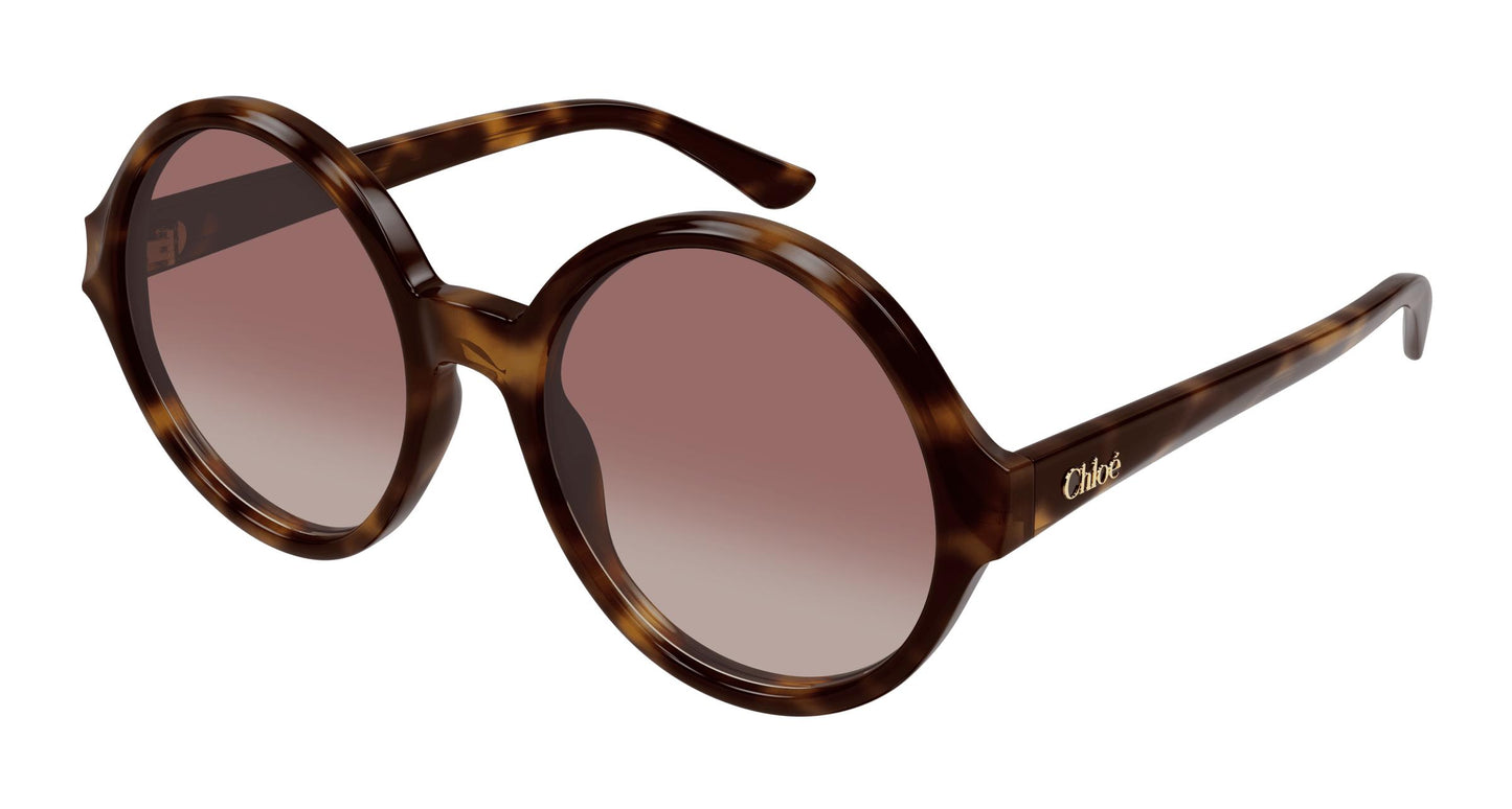 Chloé CH0290S 003 57