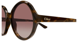 Chloé CH0290S 003 57