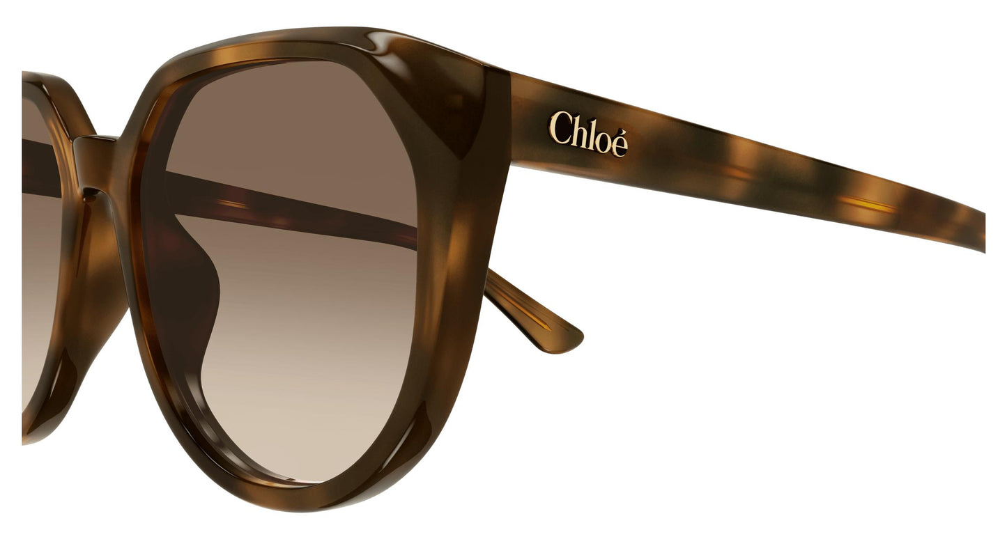 Chloé CH0291SK 003 58
