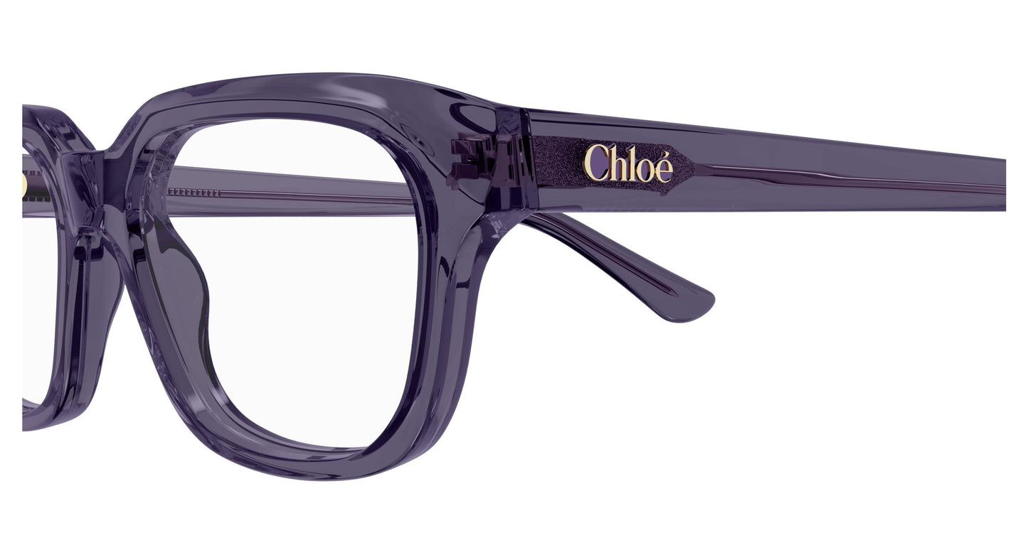 Chloé CH0292O 009 54