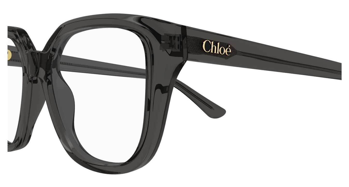 Chloé CH0293O 001 53