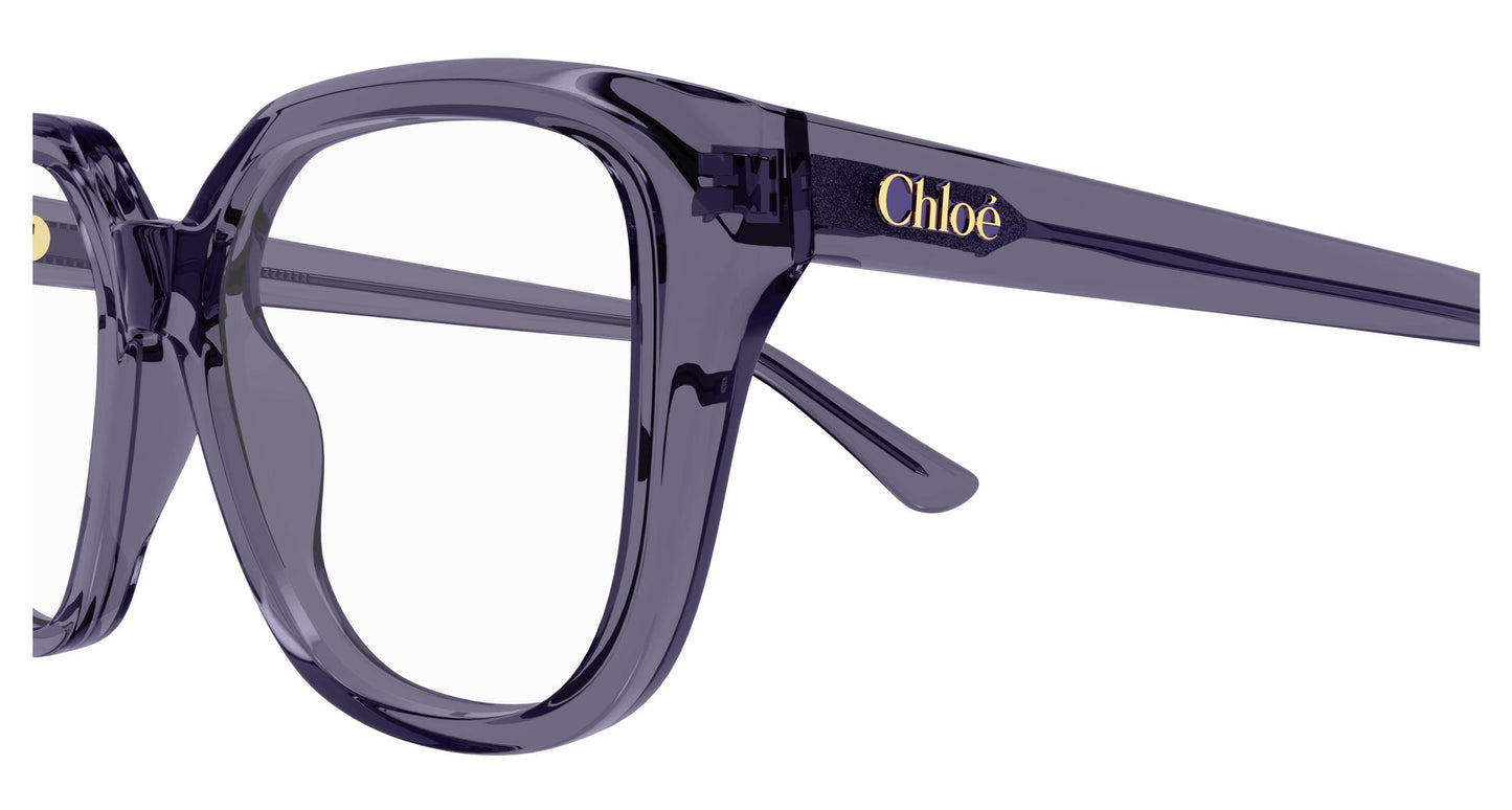 Chloé CH0293O 004 53