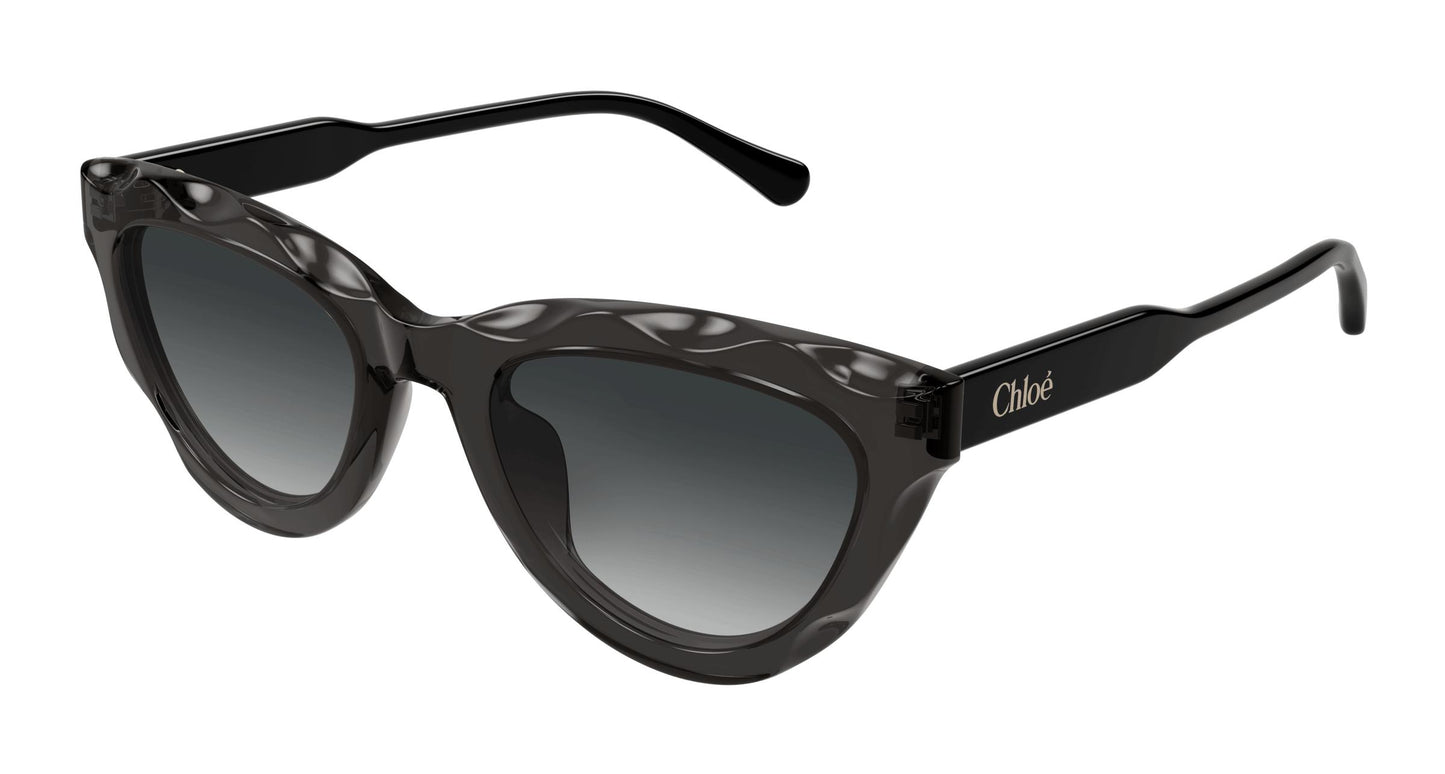 Chloé CH0294S 001 52