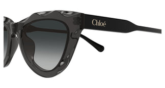 Chloé CH0294S 001 52