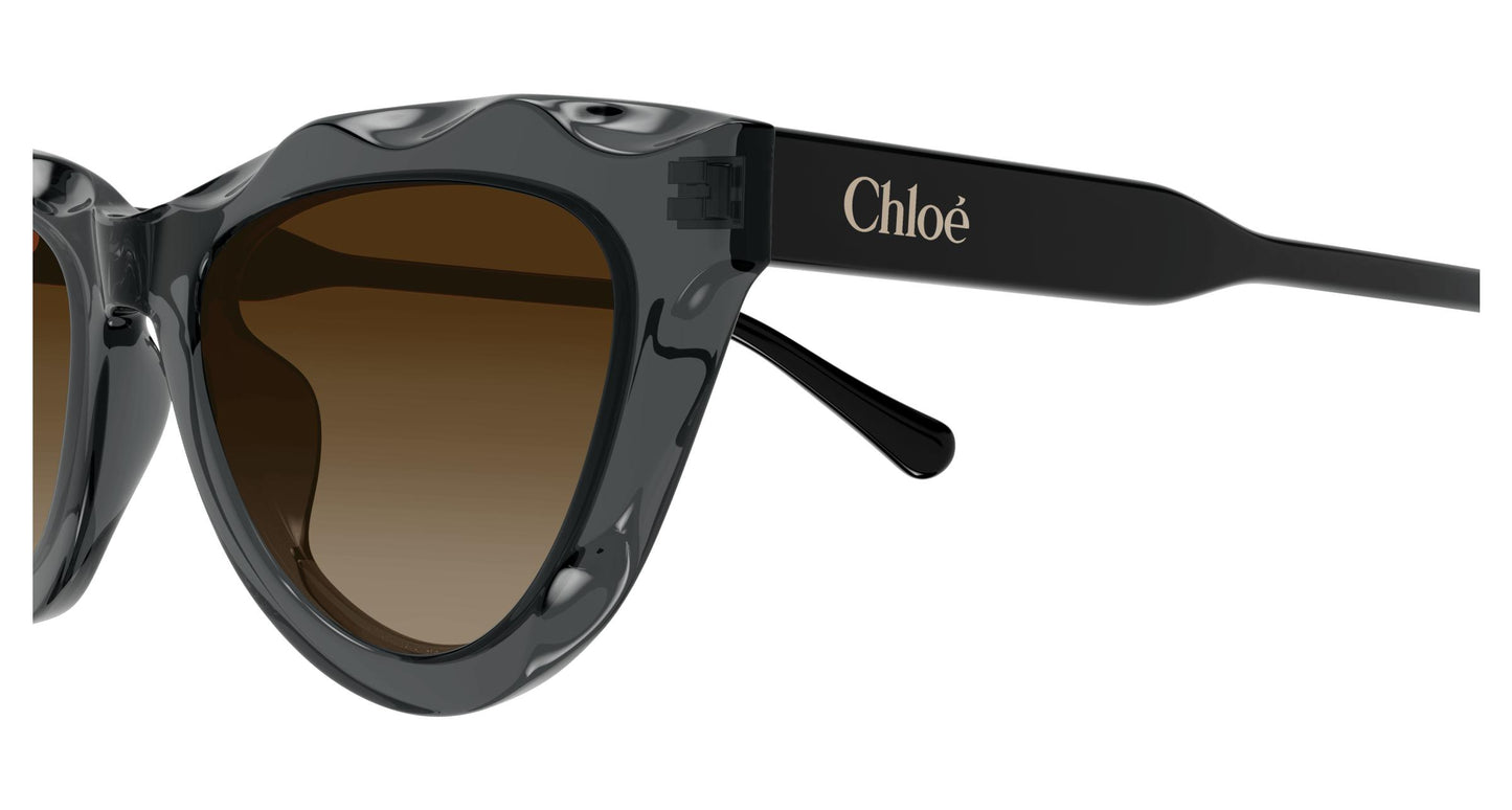 Chloé CH0294S 005 52