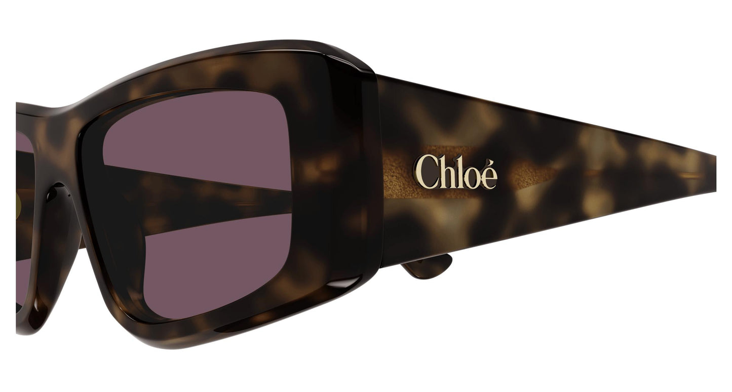 Chloé CH0299S 002 55