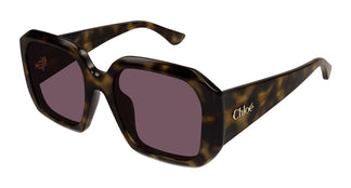 Chloé CH0300S 002 54
